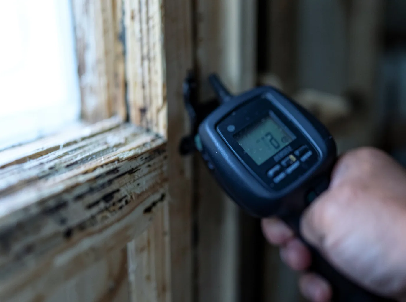 Moisture Inspection And Documentation in Saint Paul, IN